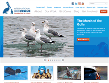 Tablet Screenshot of bird-rescue.org